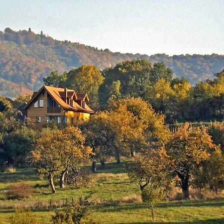 Apartamento Casa Zollo Sălişte Exterior foto