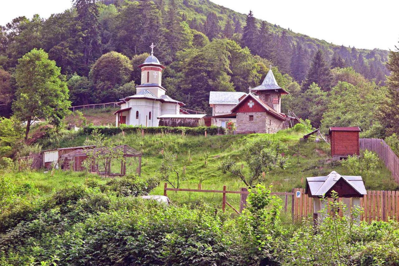 Apartamento Casa Zollo Sălişte Exterior foto