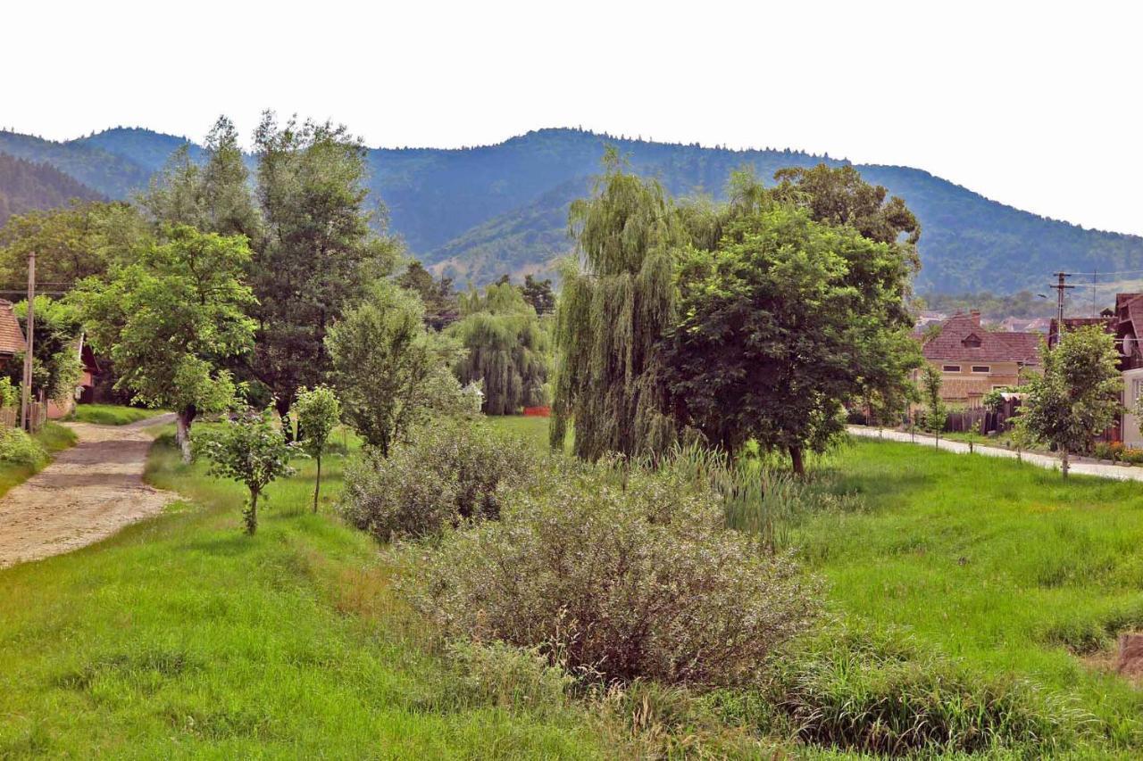 Apartamento Casa Zollo Sălişte Exterior foto